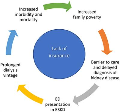 Structural Inequities and Barriers to Accessing Kidney Healthcare Services in the United States: A Focus on Uninsured and Undocumented Children and Young Adults